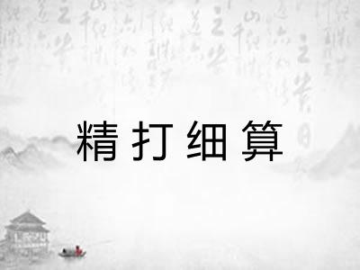 精打细算