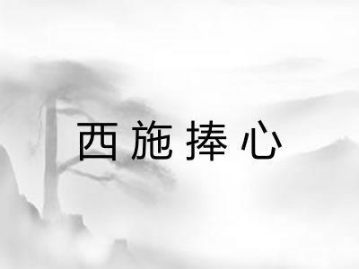 西施捧心
