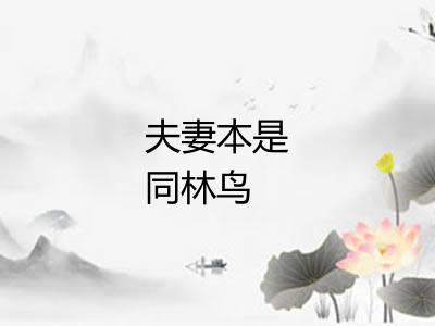 夫妻本是同林鸟